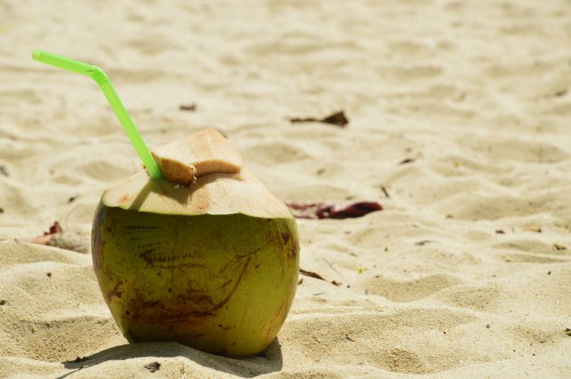 Jonge kokosnoot op Phra Nang Beach