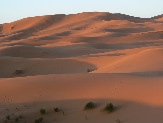 Zandduinen van Merzouga