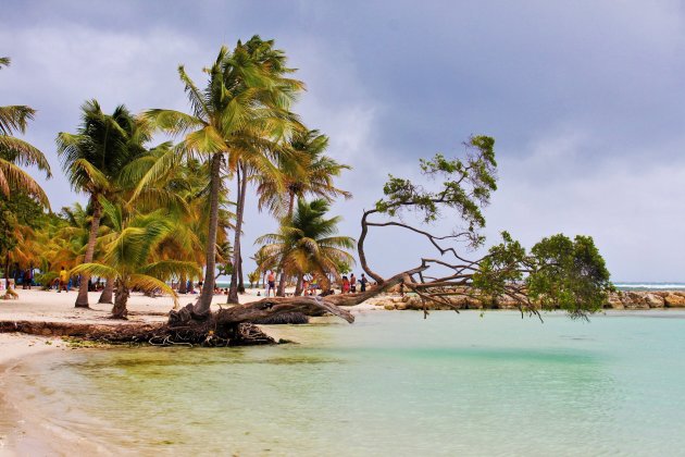 Plage des raisins clairs