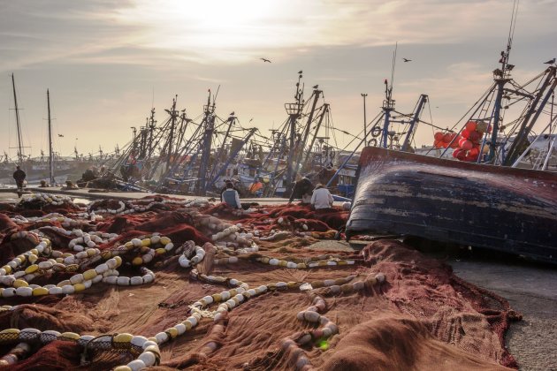 Netten boeten in de haven van Essaouira