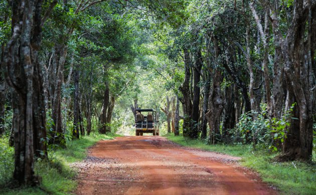 Wilpattu Nationaal Park