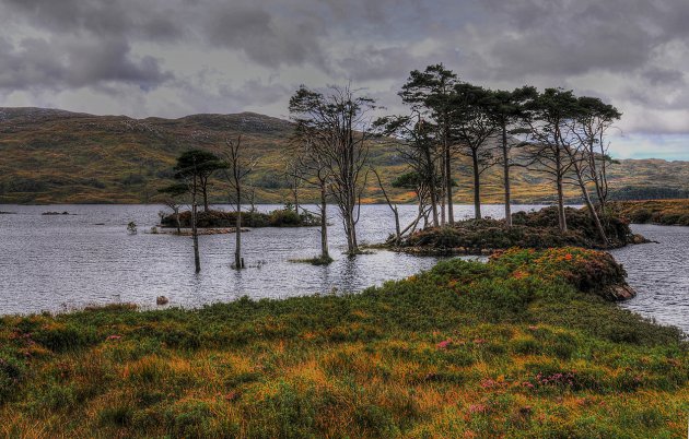 Loch Assynt