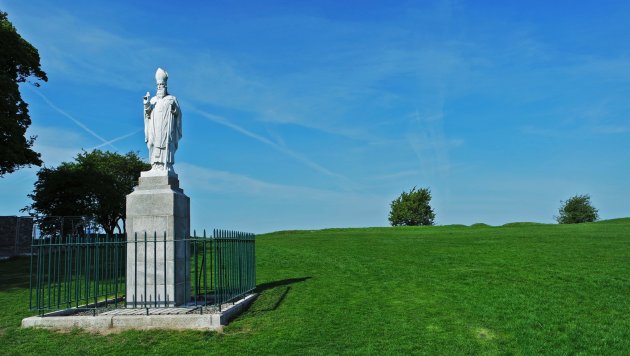 Saint Patrick met shamrock