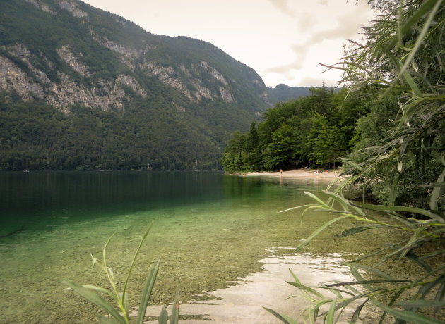 Bohinj . 