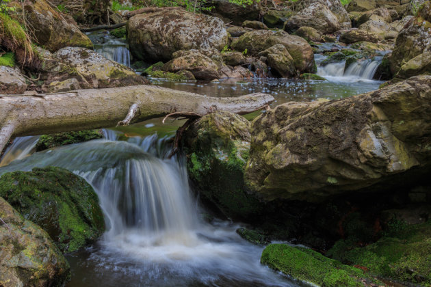 Wandelen langs de Hoëgne