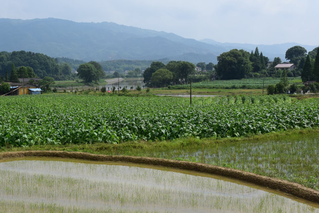 Onderweg in Hunan