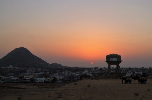 Het andere gezicht van Pushkar