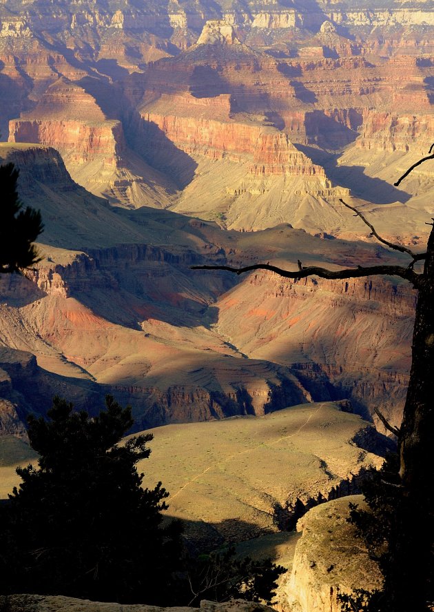 Avondlicht op de Grand Canyon !