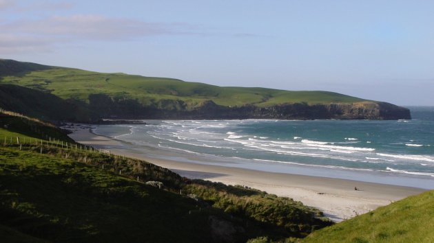 Wildlife kijken op Otago Peninsula