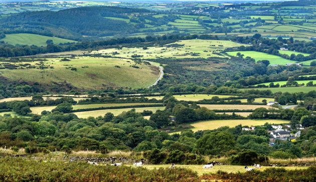 Op pad in Dartmoor 