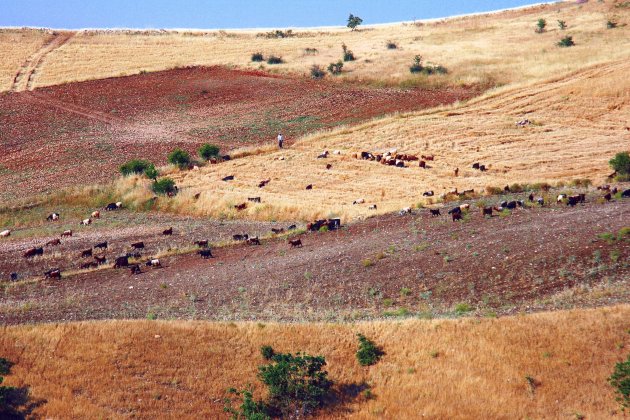 aardkleuren landschap