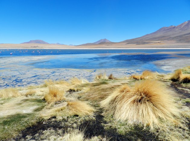 Roadtrip Bolivia 