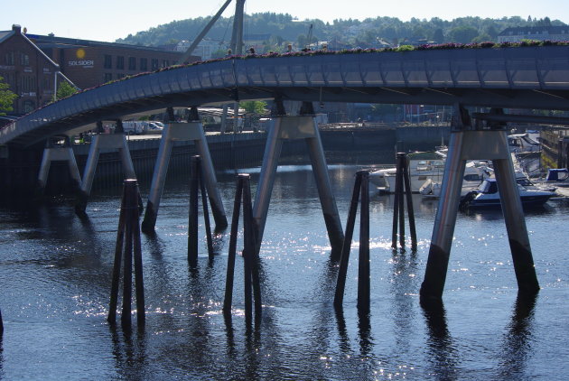 Zilveren brug