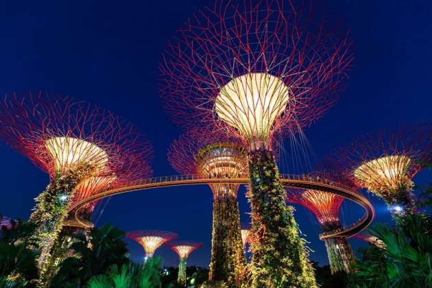 Gardens by the Bay - Singapore