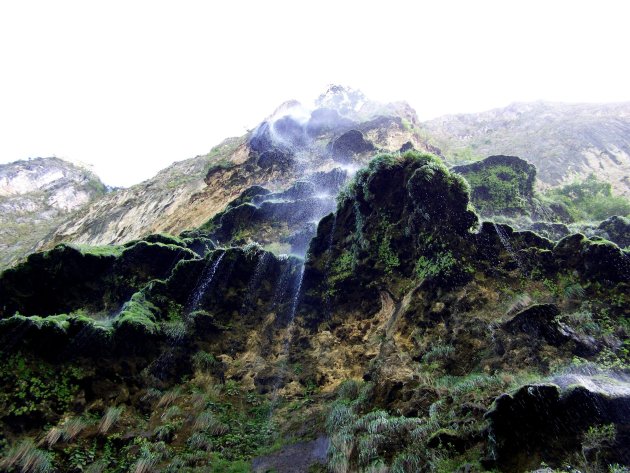 Korstmossen in de Sumidero canyon