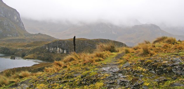 Las Cajas