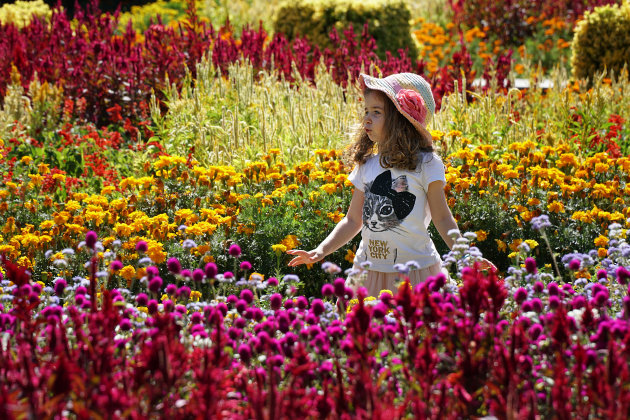 Braga: Mooi zijn in de tuin van Santa Barbara