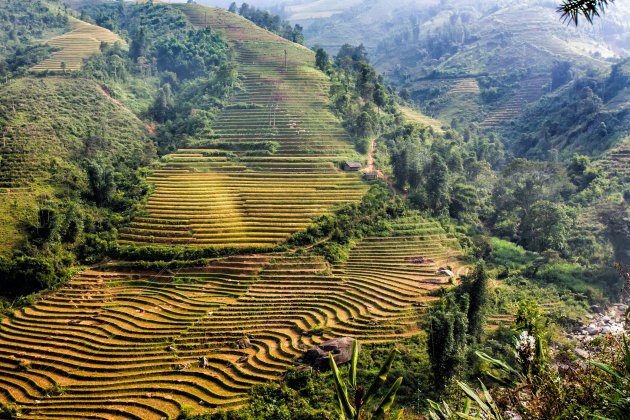 In de bergen rondom Sapa