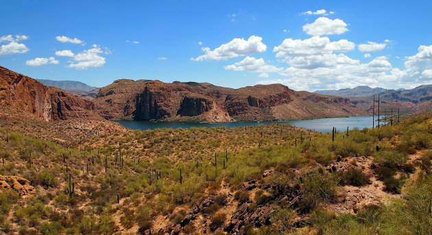 Tonto National Forest !