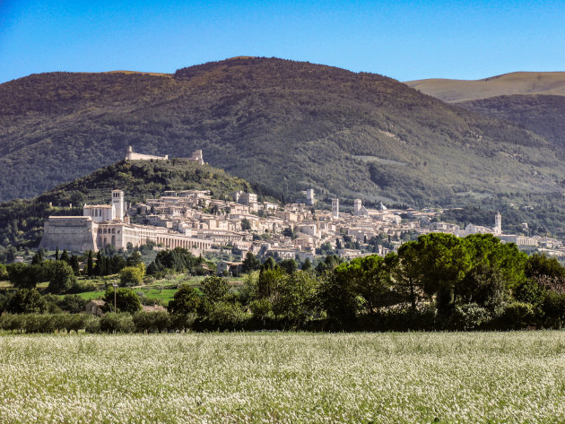 Assisi