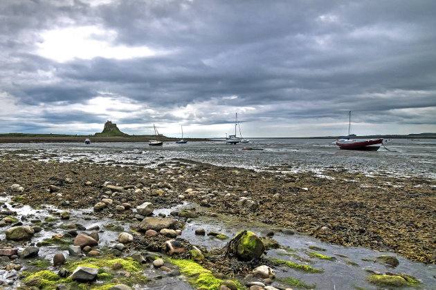 Wadlopen naar Lindisfarne