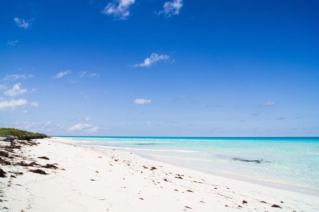 Vamos a la Playa - Cayo Santa Maria