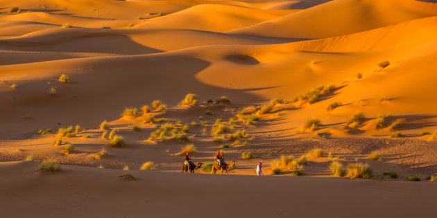 Duinen met een gouden gloed, Erg Chebbi