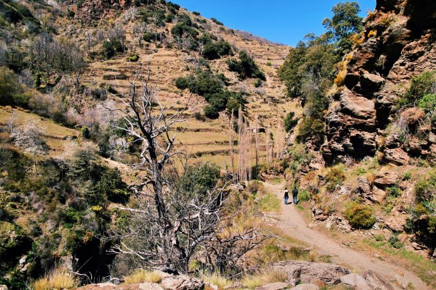 stilte in de Alpujarras