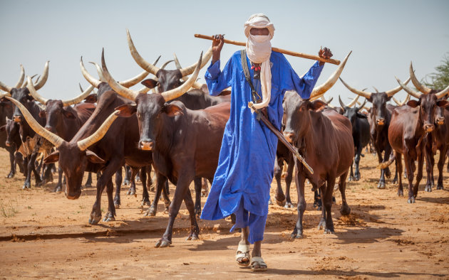 Nomadische Wodaabe