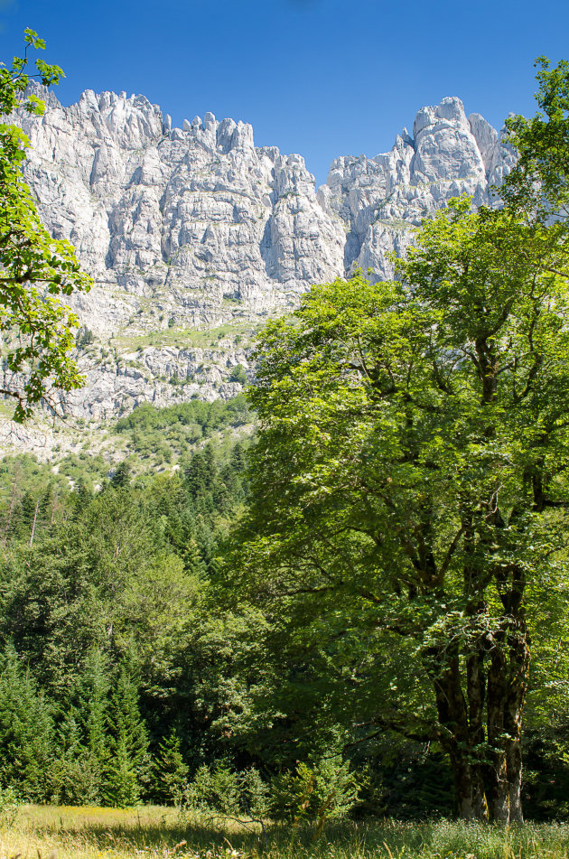 Durmitor Rocks!