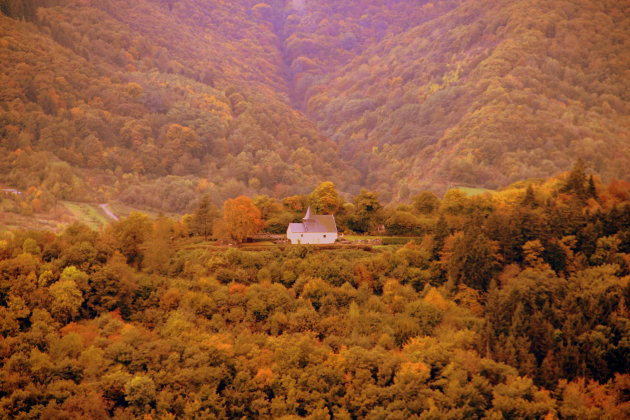 Moezel omgeving in herfsttooi