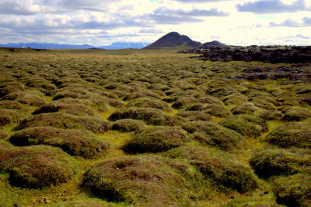 vreemd landschap