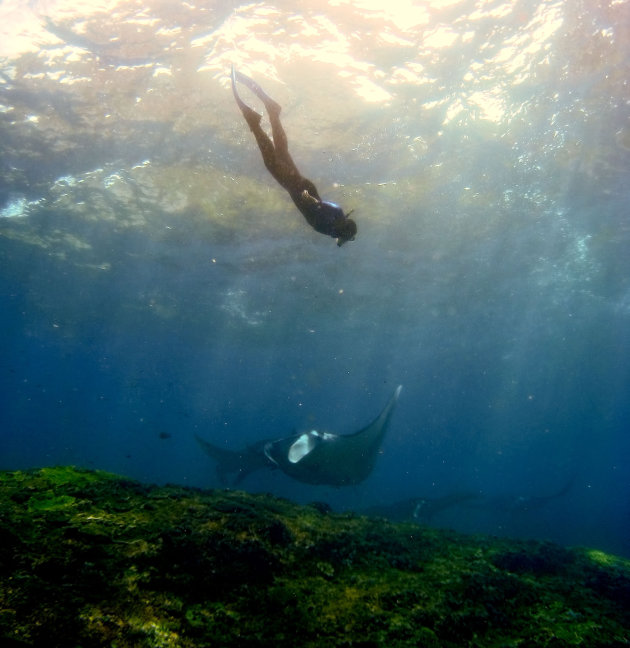 Mantapoint Nusa Penida