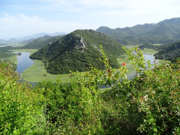 U-bocht in het meer van Skadar