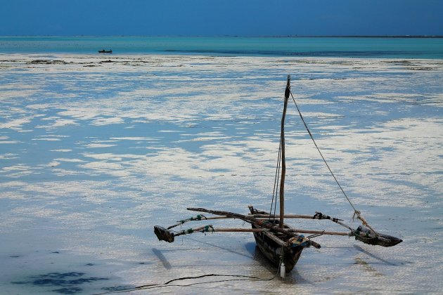 Een Dhow op het Droge