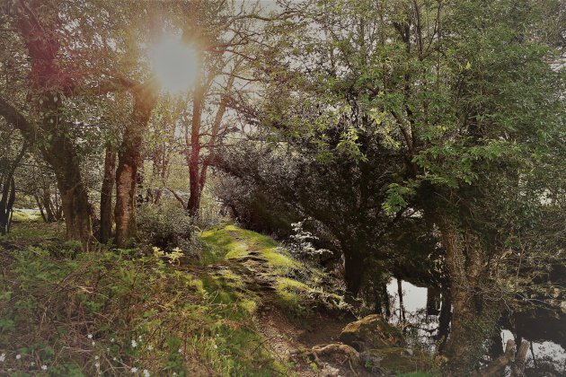 wandelpad Glendalough