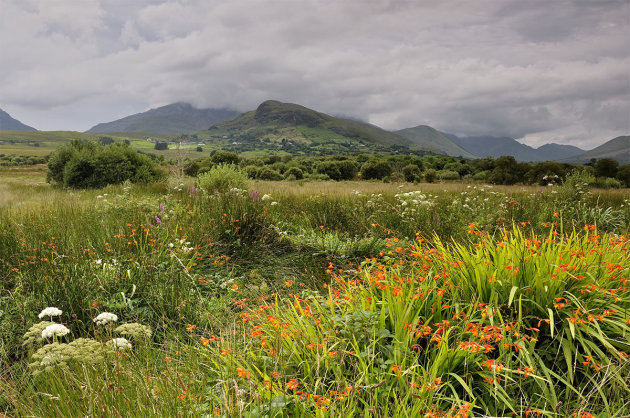 Paradijsje langs Connemara NP