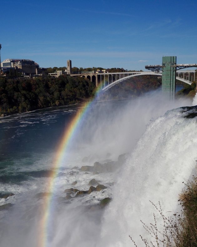 Hop over de Rainbow bridge