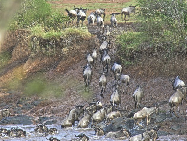 Grumeti River