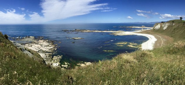 Kaikoura, meer dan walvis-spotten