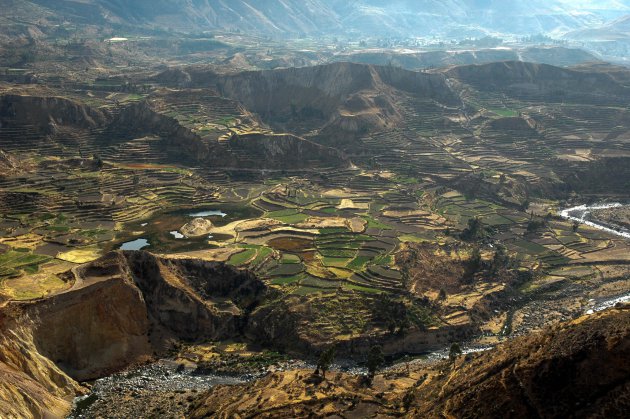 Colca canyon 