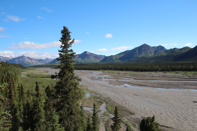 Teklanika River