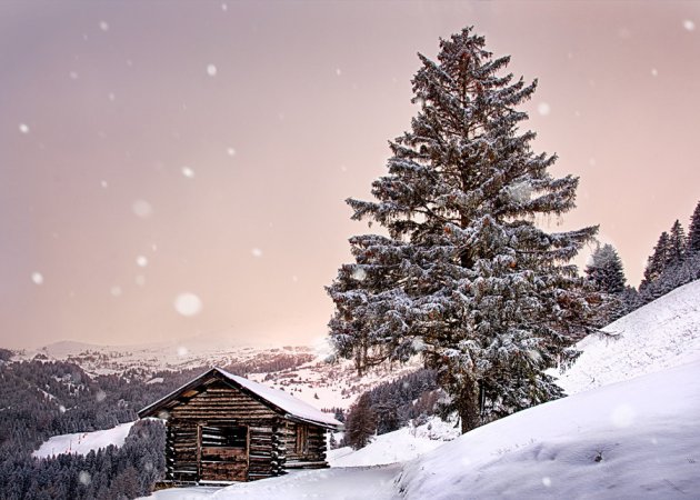 De laatste sneeuwvlokken