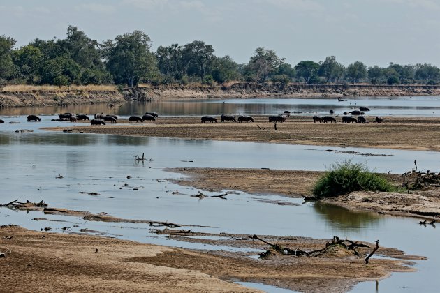  luangwa rivier