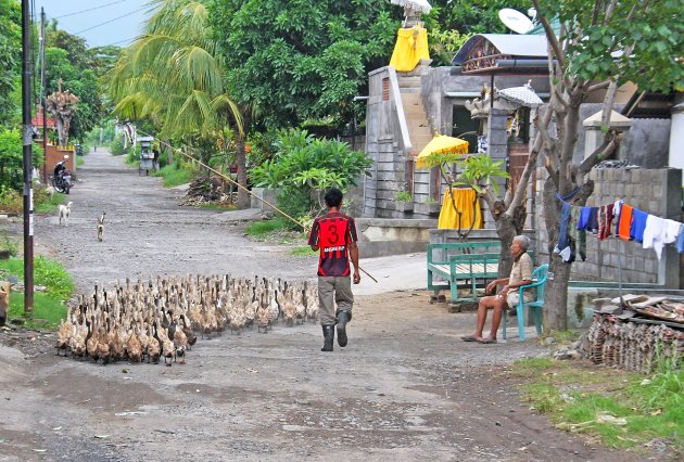 Typisch Bali