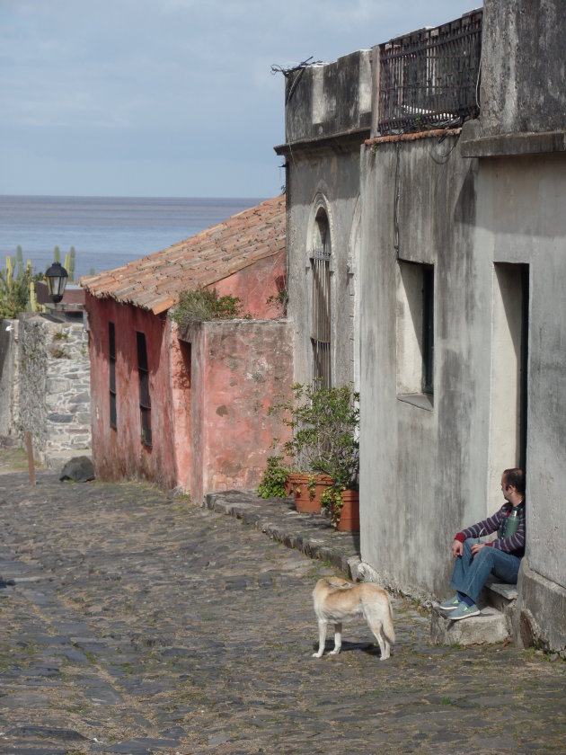 Colonia (Uruguay) het land van de Maté