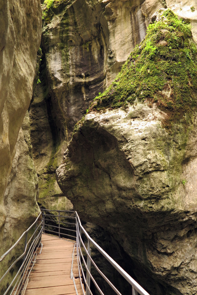 Les Gorges du Fier