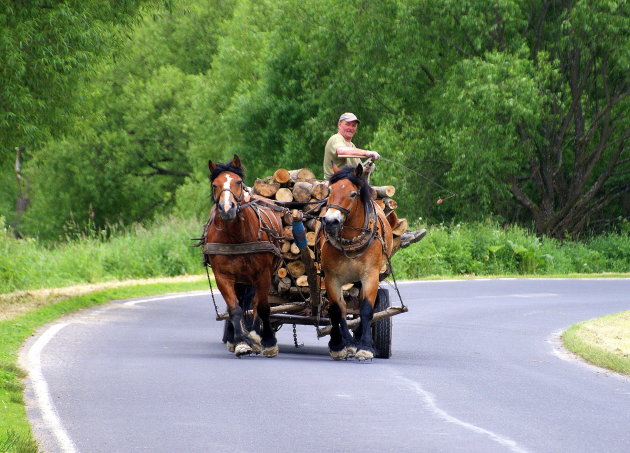 Vervoer van hout