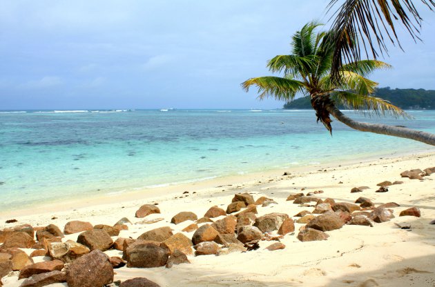 Anse La Farine