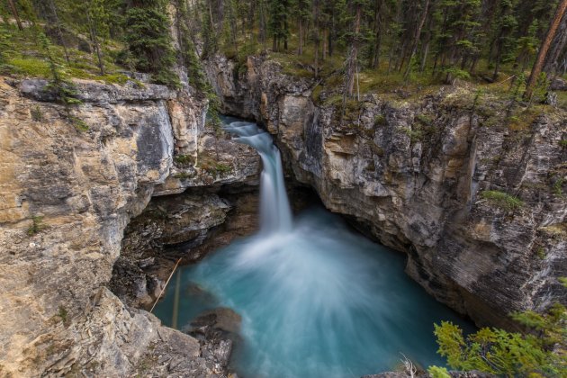 Prachtige Beauty Creek Canyon in Jasper NP